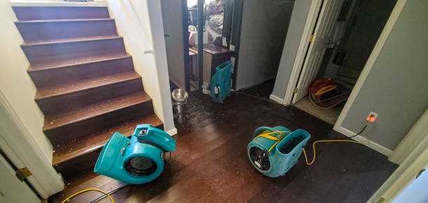 Best Ceiling water damage repair  in Beaumont, CA