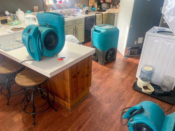 Best Commercial water damage restoration  in Beaumont, CA