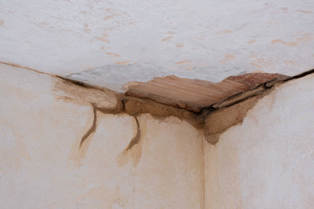 Water damage restoration mold remediation in CA
