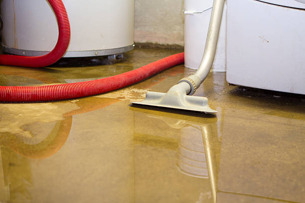 Best Fire Damage Restoration  in Beaumont, CA