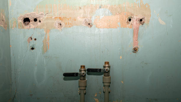 Best Water damage contractors near me  in Beaumont, CA