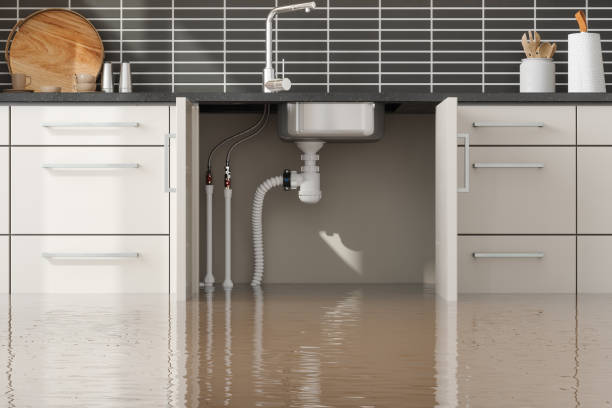 Best Water damage restoration company  in Beaumont, CA