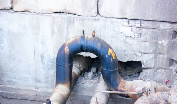 Best Water damage restoration mold remediation  in Beaumont, CA