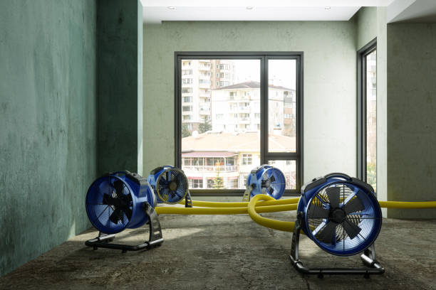 Best Local water damage restoration  in Beaumont, CA