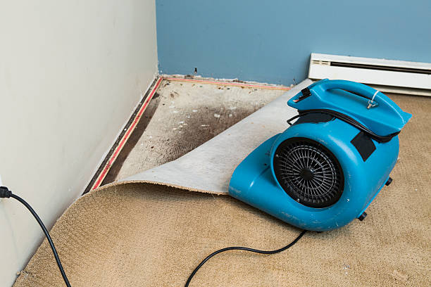 Best Basement water damage restoration  in Beaumont, CA